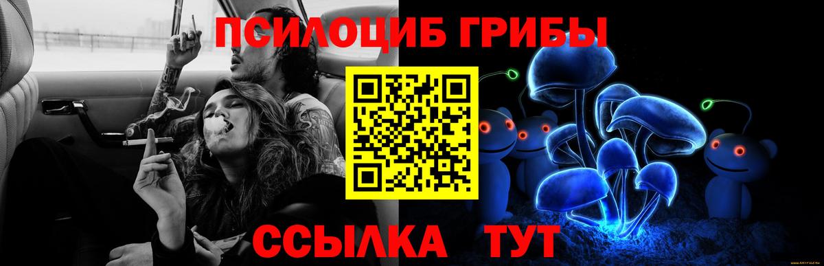 Галлюциногенные грибы прущие грибы Усинск